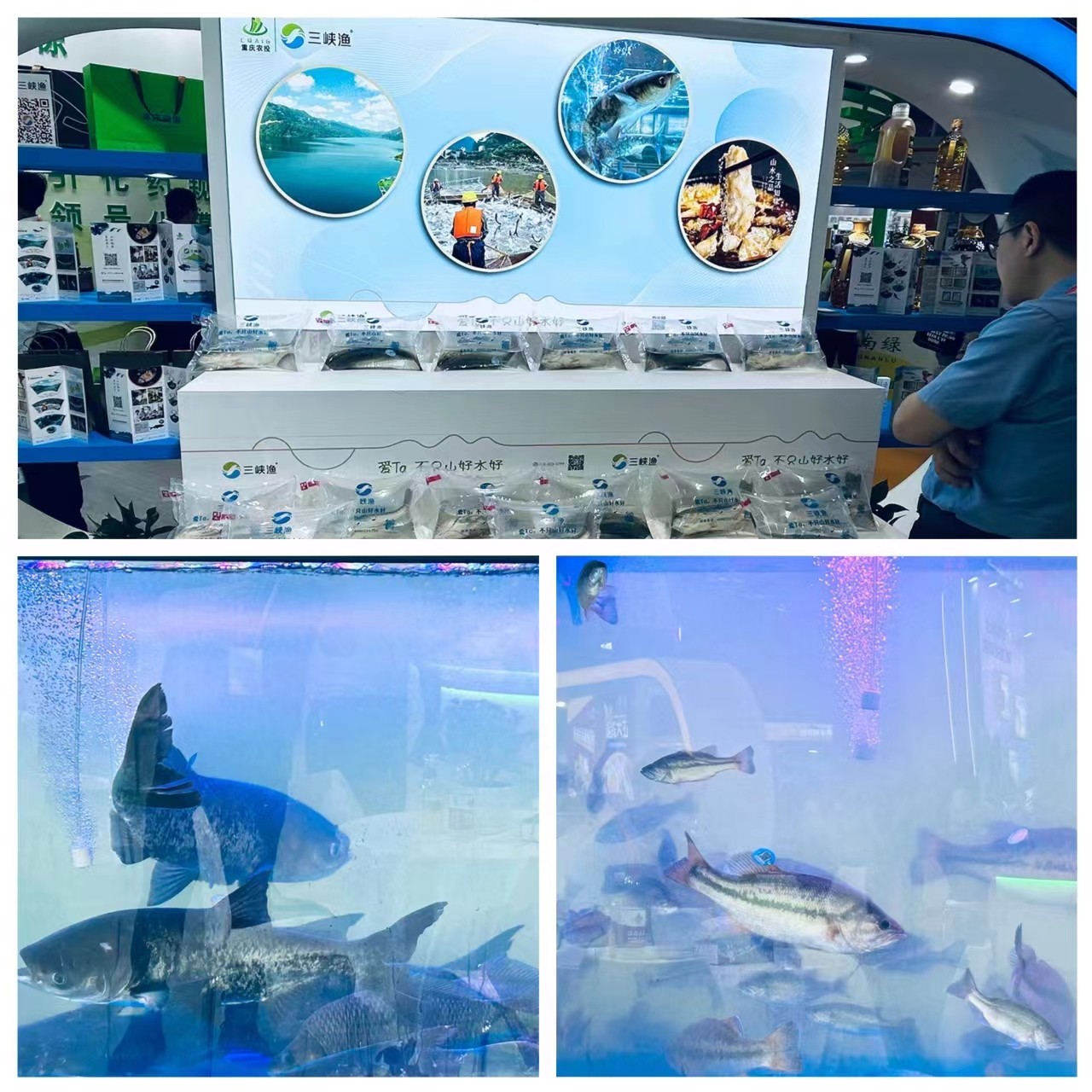 1695427656731023.jpg 1695427656731023.jpg